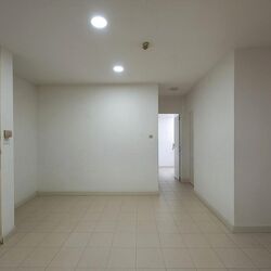 The Plaza (D7), Apartment #509170421